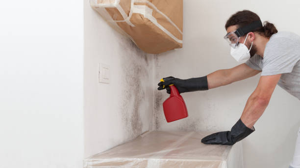 Professional Attic Mold Remediation technician working in Greenville, NC