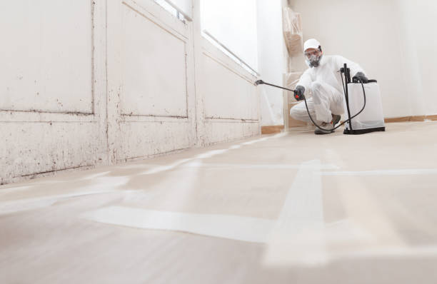 24/7 Emergency Attic Mold Remediation experts in Greenville, NC